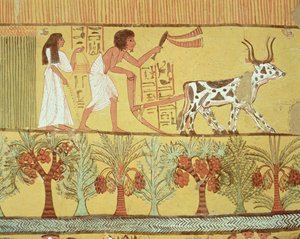 Sennedjem en zijn vrouw in de velden aan het zaaien en ploegen, uit het graf van Sennedjem